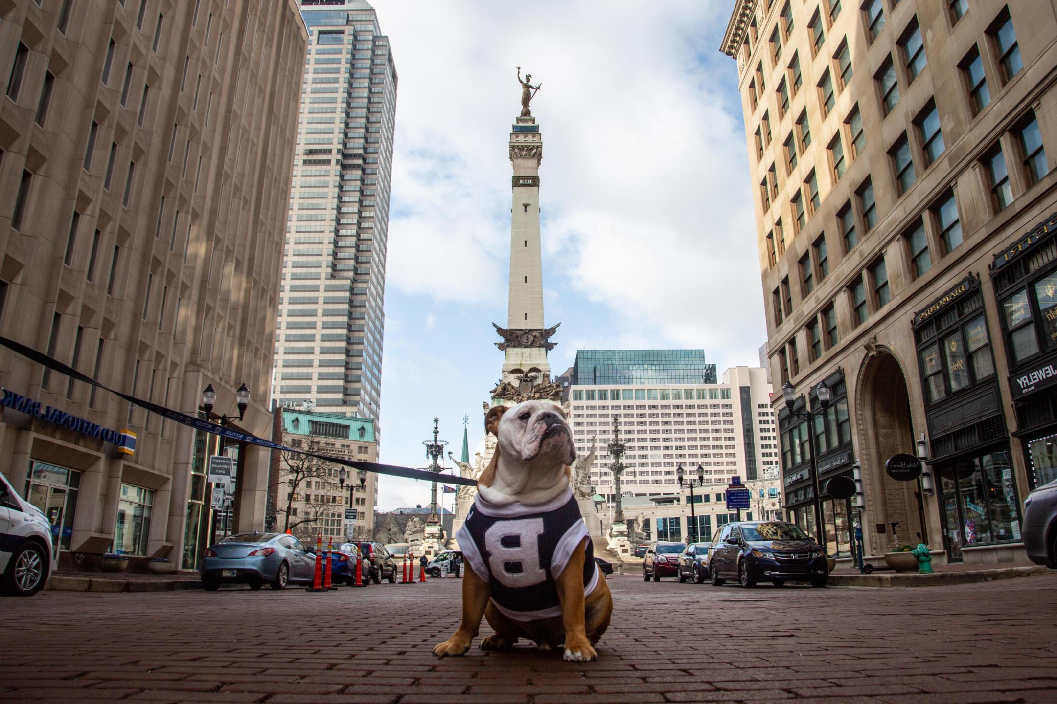 博彩平台排名 blue posing in downtown Indy